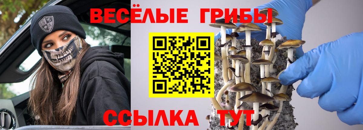 Галлюциногенные грибы мицелий  Вход с VPN  Коммунар 